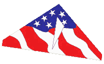 Delta Stars & Stripes
