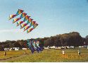 John & Dan's kites