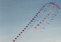 RWB Kite Arch