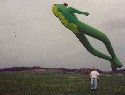 World's largest Frog