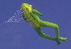link to Le Frog