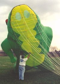 Mega Frog with Frank