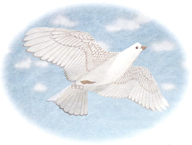 Jackite Dove