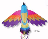 Paridise Bird