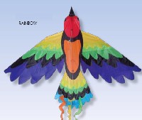 Paridise Bird