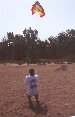 Lee's launch