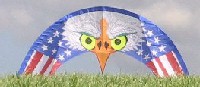 Custom SkyEagle