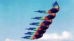 Skydancer 6 Pack