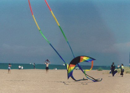 Skydancer Black Rainbow